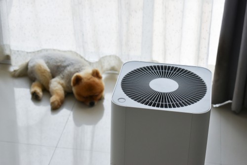 Air Conditioning for Pet Owners Keeping Your Furry Friends Cool